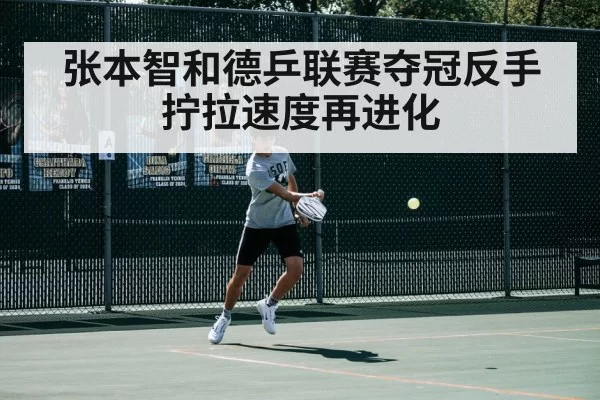 张本智和德乒联赛夺冠反手拧拉速度再进化