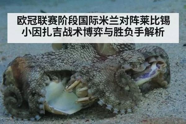 欧冠联赛阶段国际米兰对阵莱比锡小因扎吉战术博弈与胜负手解析